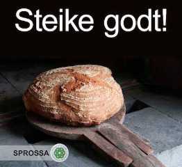 Steike godt